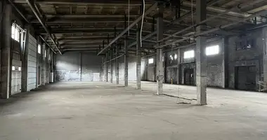 Commercial property 1 340 m² in Riga, Latvia