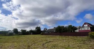 Działka w Baraulianski sielski Saviet, Białoruś