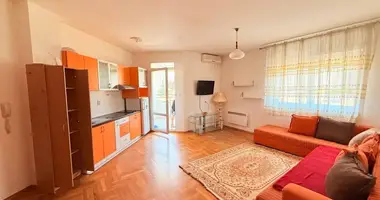 Apartamento 1 habitacion en Bar, Montenegro