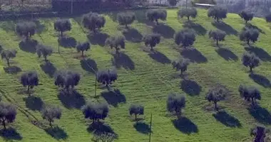 Parcela en Terni, Italia