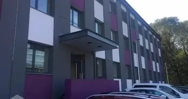 Коммерческое помещение 295 м² в Рига, Латвия