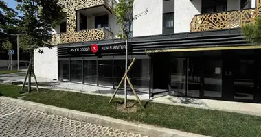 Коммерческое помещение 244 м² в Тбилиси, Грузия