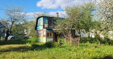 Haus in Zodzinski sielski Saviet, Belarus