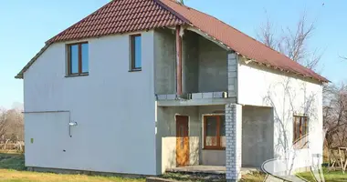 Haus in Radvanicki sielski Saviet, Belarus