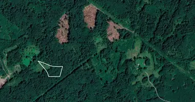 Terrain dans Vilnius, Lituanie