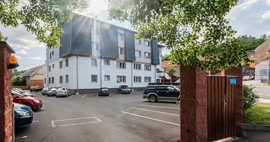Appartement 1 chambre dans Otvovice, République tchèque