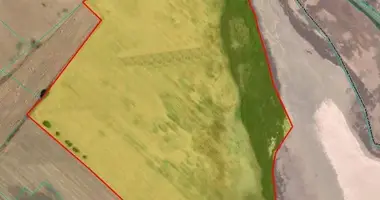 Parcela en Dromolaxia Meneou Municipality, Chipre