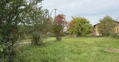 Plot of land in Zabalocki sielski Saviet, Belarus