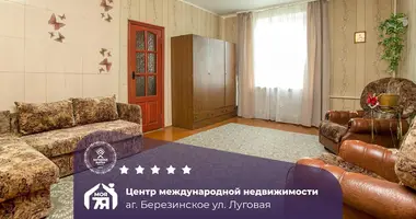 Haus in Bierazinskaje, Belarus