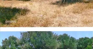 Parcela en Municipality of Sifnos, Grecia