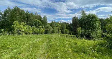 Grundstück in Tintiniskes, Litauen
