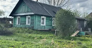 Haus in Astrashycki Haradok, Belarus