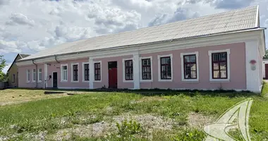 Коммерческое помещение 509 м² в Кобрин, Беларусь