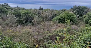 Участок земли в Zagora, Черногория