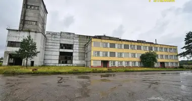 Produktion 12 000 m² in Nowalukoml, Belarus