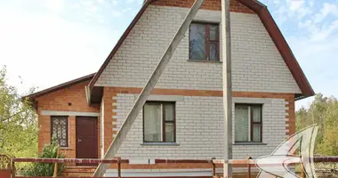 Haus in Skoki, Belarus