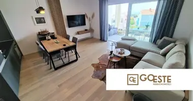 2 room apartment in Opcina Dezanovac, Croatia