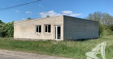 Производство 139 м² в Мухавецкий сельский Совет, Беларусь