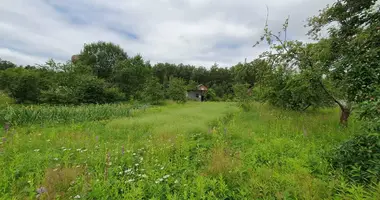 Działka w Radaskovicki sielski Saviet, Białoruś
