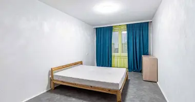 Квартира 1 комната в Лесной, Беларусь