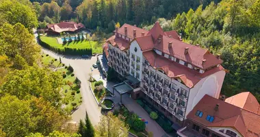 Hotel 6 455 m² in Poliana, Ukraine