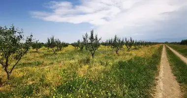 Parcela en Gori, Georgia