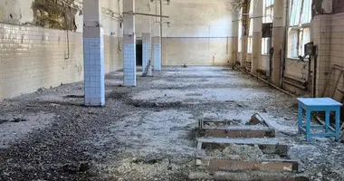 Коммерческое помещение 480 м² в Одесса, Украина