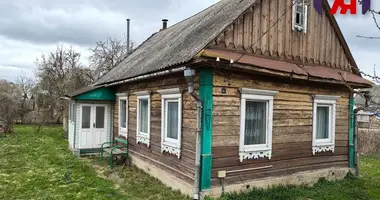House in Sluck, Belarus