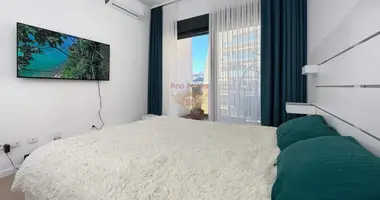 1 bedroom apartment in Montenegro