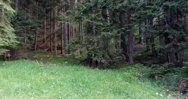 Участок земли в Жабляк, Черногория