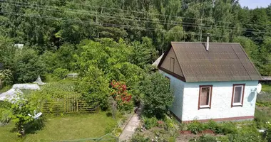 House in Nieharelski sielski Saviet, Belarus