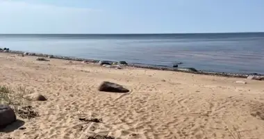 Участок земли в Skultes pagasts, Латвия