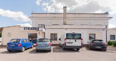 Apartment in Rydzyna, Poland
