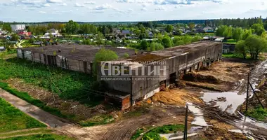 Commercial property 4 113 m² in Sumino, Russia