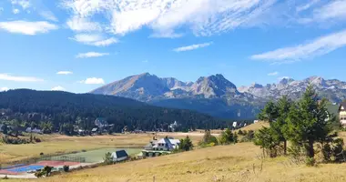 Wohnung 5 Schlafzimmer in Zabljak, Montenegro