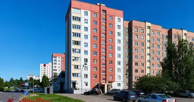 2 room apartment in Minsk, Belarus