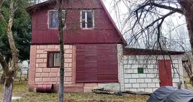 Haus in Krasnienski sielski Saviet, Belarus