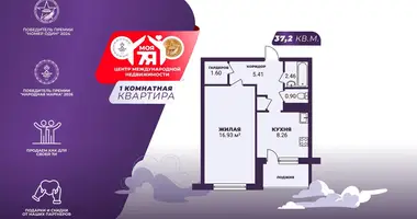 1 room apartment in Minsk, Belarus
