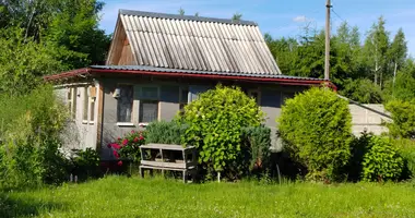 House in Losnicki sielski Saviet, Belarus