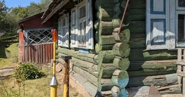 House in Novy Dvor, Belarus