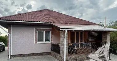 House in Vialikija Matykaly, Belarus