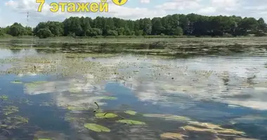 Dom w Klinocki sielski Saviet, Białoruś