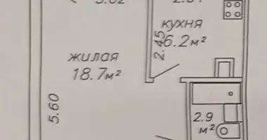 Apartamento 1 habitación en Minsk, Belarús
