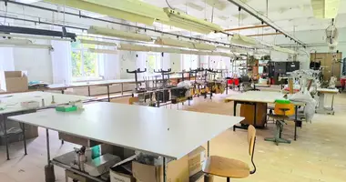 Коммерческое помещение 395 м² в Tryskiai, Литва