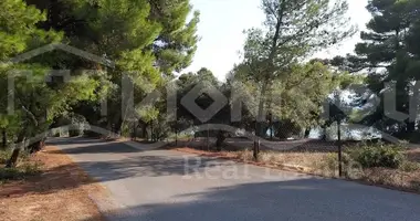 Terrain dans Nikiti, Grèce