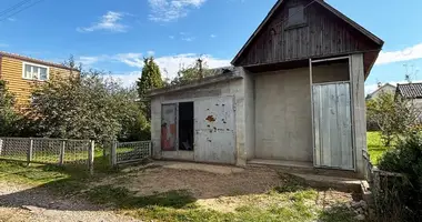 House in Zabalocki sielski Saviet, Belarus
