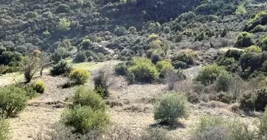Apartment in Mathikoloni, Cyprus