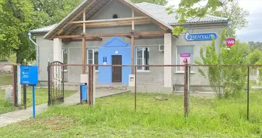 Магазин 169 м² в Слоним, Беларусь