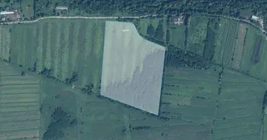 Участок земли в Озургети, Грузия