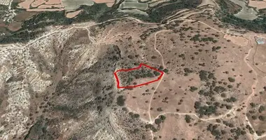 Terrain dans Pissouri Municipality, Chypre